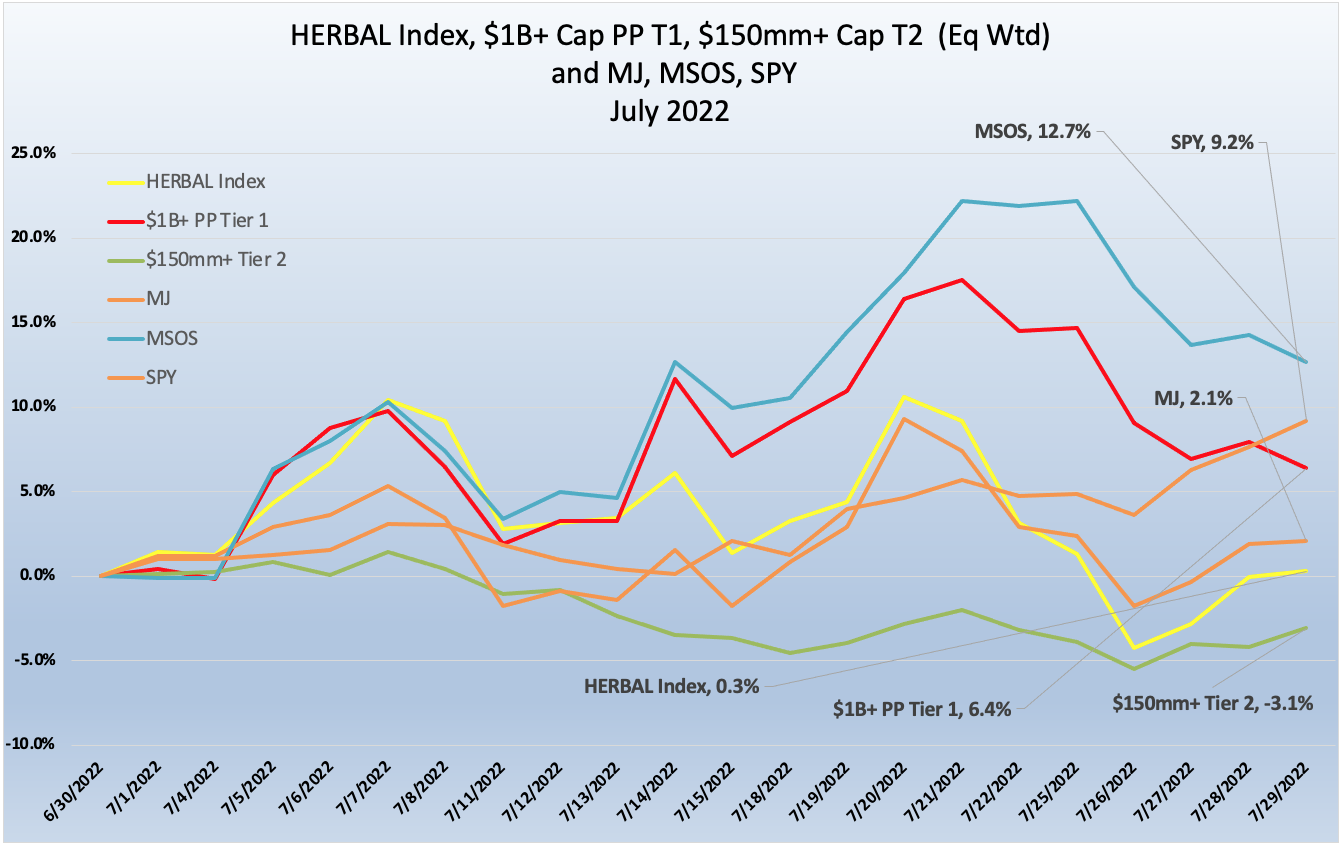 July 2022 Newsletter Perf Chart