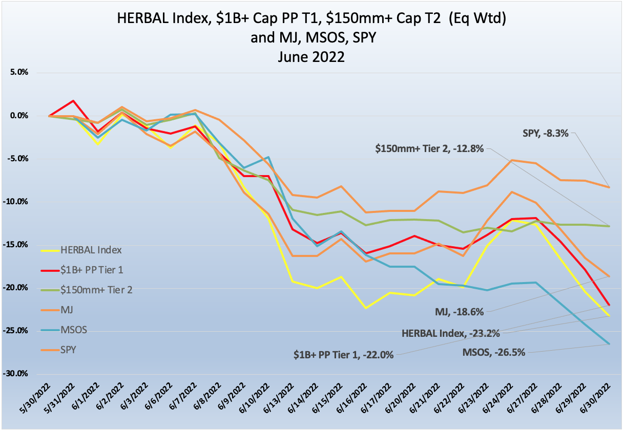 June 2022 Newsletter Perf Chart