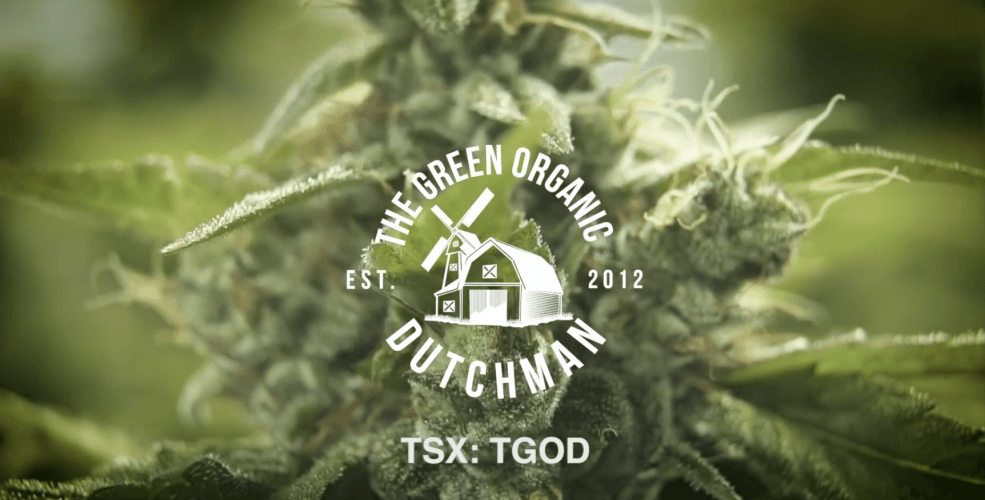 The-Green-Organic-Dutchman